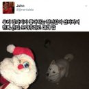 우리강아지 이미지