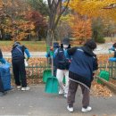 덕영대로 이미지