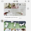 콩몽이네 이미지