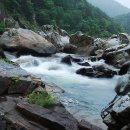 왕피천계곡민박 이미지