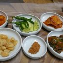 도리골토종닭