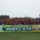 매향중학교 이미지