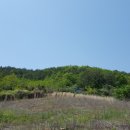 남해-316 이미지