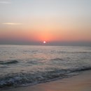 일출로2 이미지