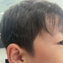 용인대 수호태권도장 이미지