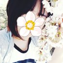천문대오토캠핑장;천문대오토펜션 이미지