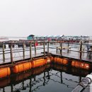 부흥호좌대2낚시터 이미지