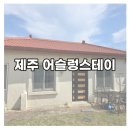 한림주방그릇 | [제주] 한림 애견 동반 숙소 어슬렁스테이/6개월 아기와 제주 숙소 추천 후기