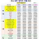 세부전문투어