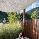 달다란금산 이미지