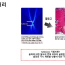 에스와이메드 이미지