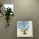 대림건축사사무소 이미지