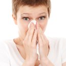 할렐루야농장 이미지