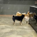 호텔루이 이미지