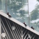 패션주얼리특구고객지원센터 | [웨딩밴드] 백작바이피렌체 계약+수령 후기 (+꿀팁, 디자인)