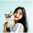 베베펫 천안 강아지분양 고양이분양 이미지