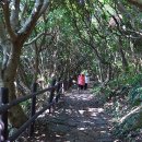 등대당구장 이미지