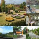 TCC 당구장 이미지