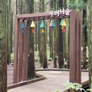 사려니숲길주차장 이미지