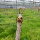 이병주농장 이미지