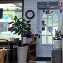 밀밭비빔국수 이미지