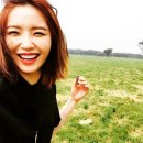 김새롬 카카오 검색결과