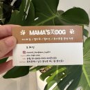 광주강아지분양 마마스미독 24시 광주봉선점 이미지