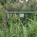 월송모텔 이미지