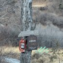 소일뜨락 이미지