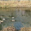 유유자적 이미지