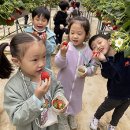 영주중앙초등학교 이미지