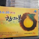 서당 농장 이미지