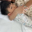 더들집 2 이미지