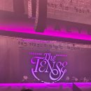 I(아이)&U(유)기공소 | 250307 태연 콘서트 The Tense 첫공 후기 | 체조 1층 13구역 시야