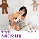다뷰스튜디오 | 대구 홈스냅 컨셉 스튜디오 체험단 모집