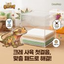 웅쓰스토어