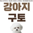 선릉동물병원 이미지