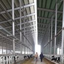 밀키웨이목장 이미지