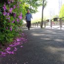 웰빙마트 이미지