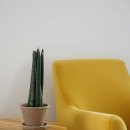 [국비지원] 조경기능사 필기 이미지