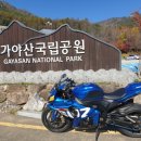 가야산생수정 네이버블로그