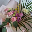 샤론  꽃  화원 이미지