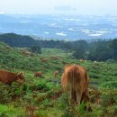 대응목장 이미지