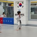 용인대 금호태권도 이미지