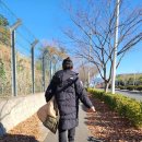 상안동 지석묘 | 울산포만감 : 만보걷기 40일차 / 울산광역시 기념물 상안동 지석묘 / 부들부들 2탄