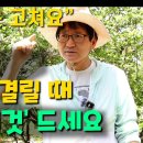 [작약] 이유 없이 뻣뻣하고 결릴 때 무조건 '이것'드세요 이미지