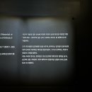 (주)아홉시삼분인터렉티브 | [일본:도쿄] ‘팀랩 플래닛 도쿄’ 주말 방문후기(예약, 복장, 대기시간, 관람시간)♥