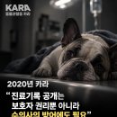 실시간 논란인 설채현 수의사의 동물병원 진료비 공개 반대 영상 이미지