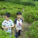 수철농장 이미지