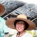 피네농장 이미지